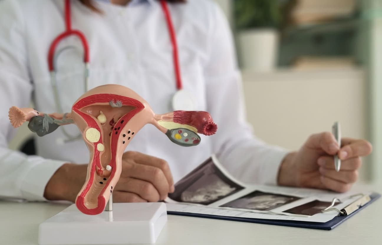 Medic ginecolog la consultație în cadrul clinicii Top Medical Grup Iași, analizând ecografii lângă un model anatomic al uterului.